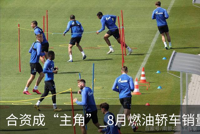 合资成“主角” 8月燃油轿车销量榜 15款合资轿车上榜 迈腾第四