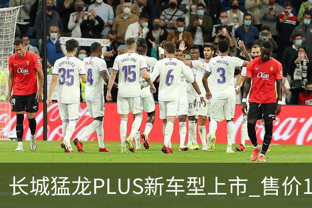 长城猛龙PLUS新车型上市 售价18.98-19.68万
